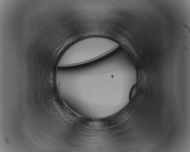 X0000102030212200807181014