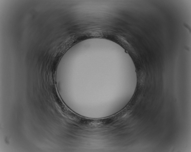 X0000102030213200807181014