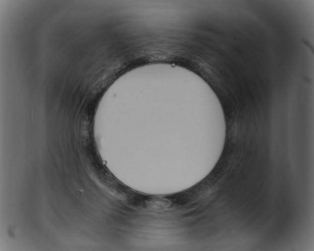 X0000102030215200807181014