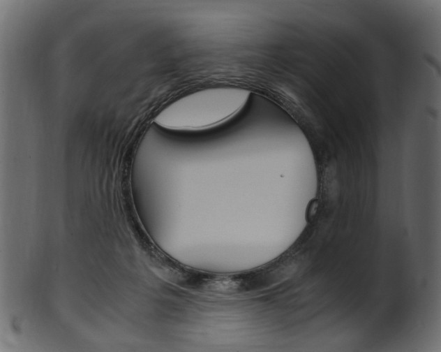 X0000102030217200807181014