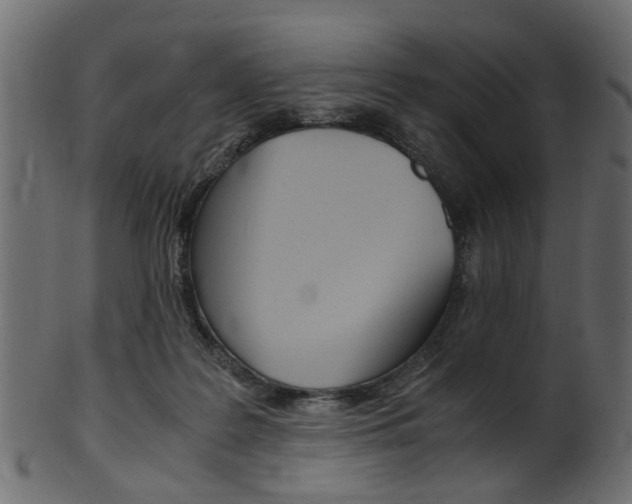 X0000102030219200807181014