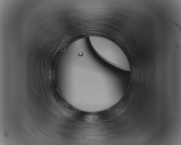 X0000102030220200807181014