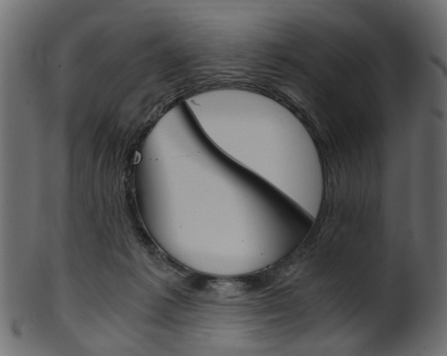 X0000102030221200807181014