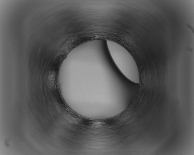 X0000102030222200807181014