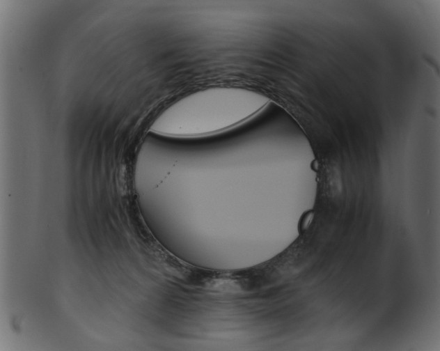 X0000102030224200807181014