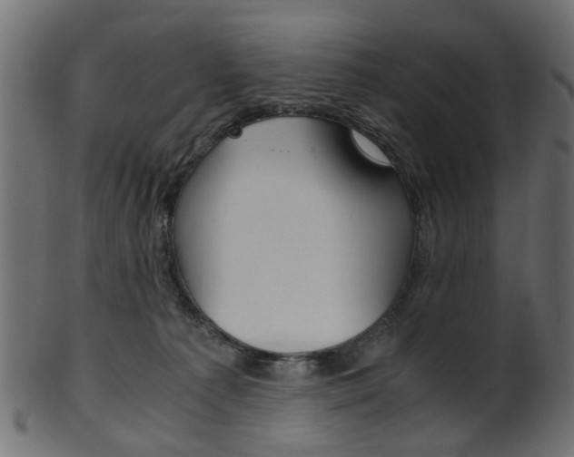 X0000102030225200807181014