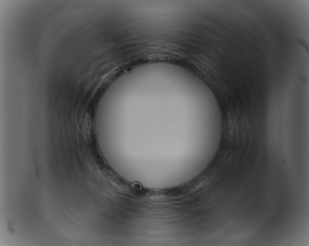 X0000102030228200807181014