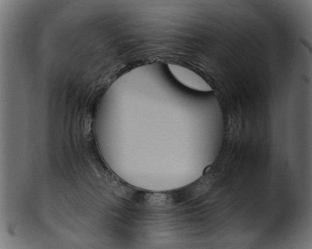 X0000102030230200807181014