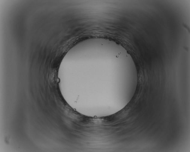 X0000102030233200807181014