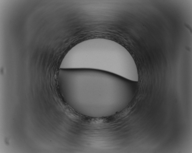 X0000102030235200807181014