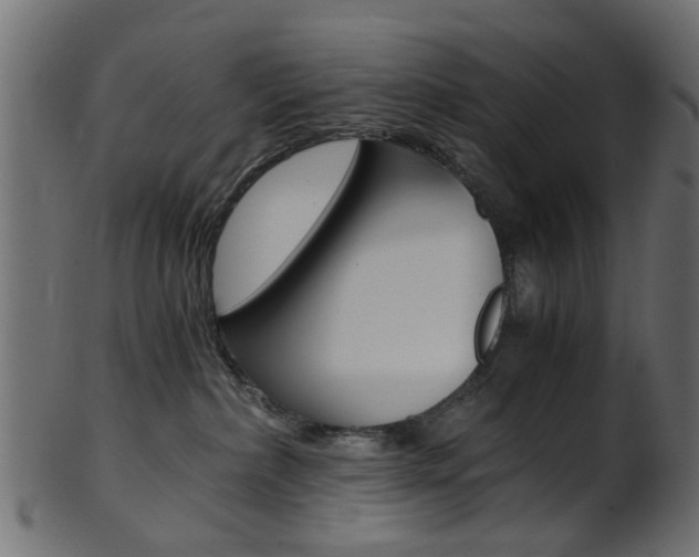 X0000102030236200807181014