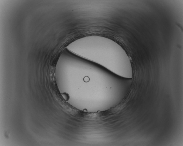 X0000102030237200807181014