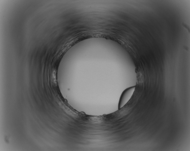 X0000102030238200807181014