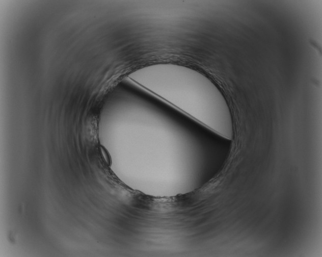 X0000102030240200807181014