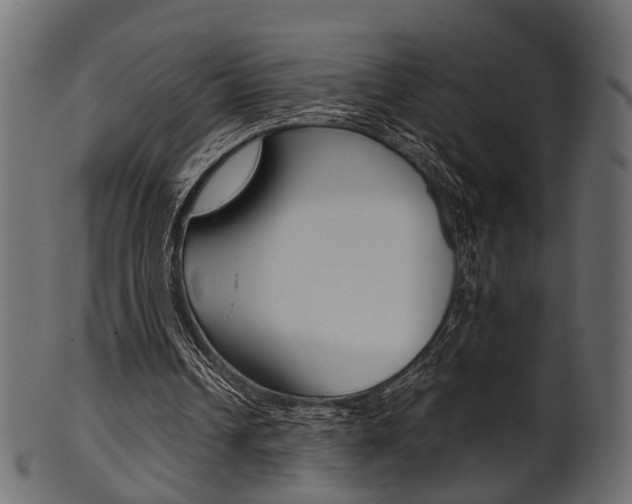 X0000102030242200807181013