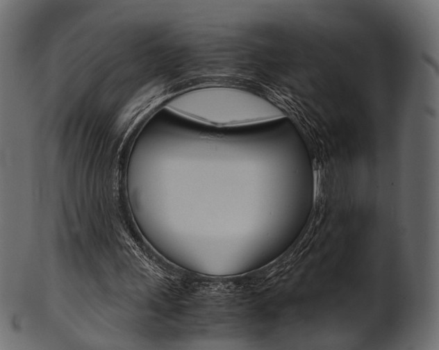 X0000102030243200807181013