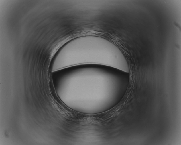 X0000102030244200807181013