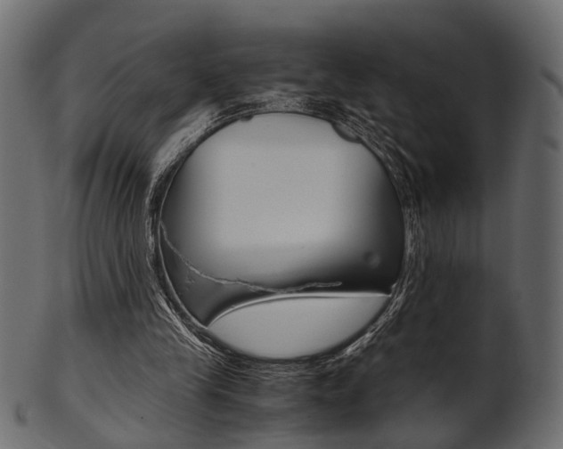 X0000102030245200807181013