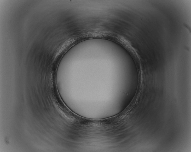 X0000102030250200807181013