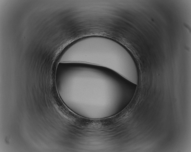 X0000102030252200807181013