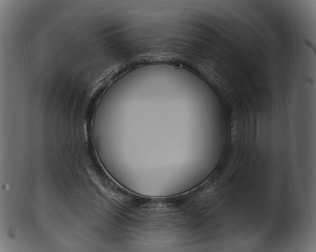 X0000102030254200807181013