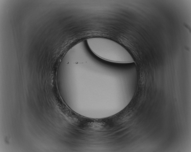 X0000102030255200807181013