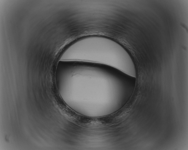 X0000102030256200807181013