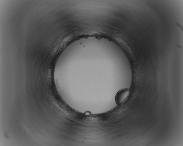 X0000102030260200807181013