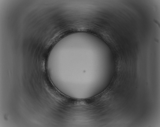 X0000102030262200807181013