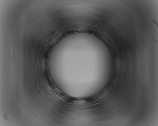 X0000102030266200807181013