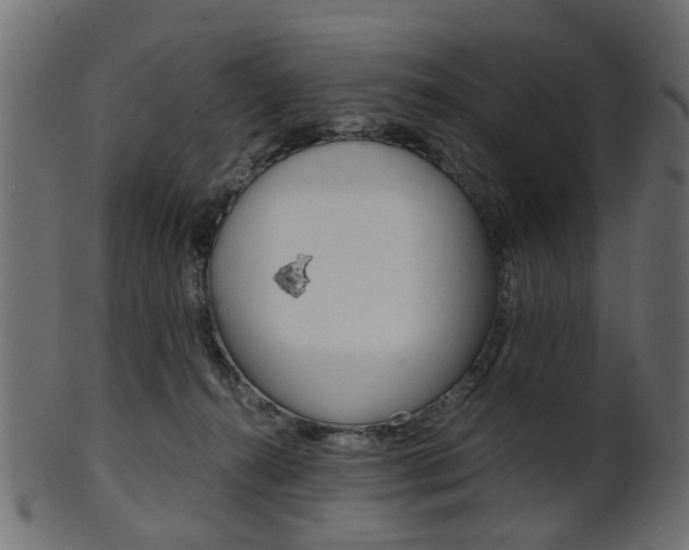 X0000102030272200807181013