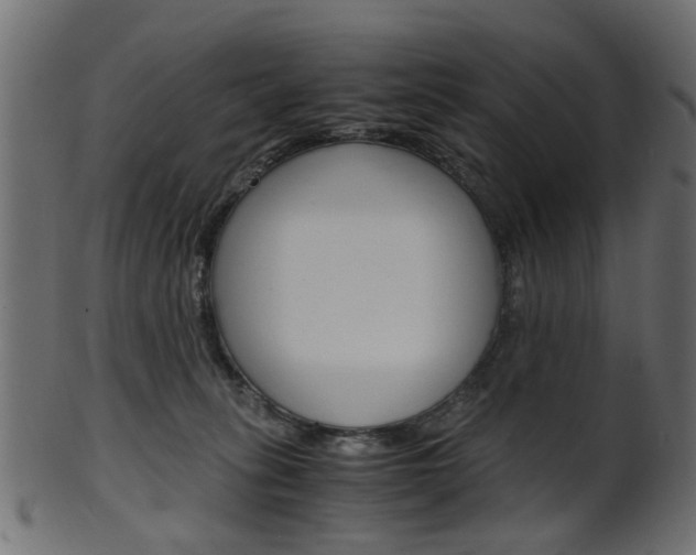 X0000102030275200807181013