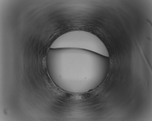 X0000102030276200807181013