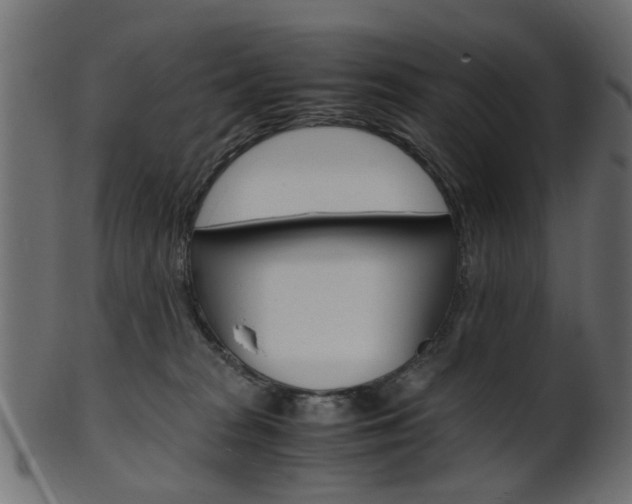 X0000102030277200807181013