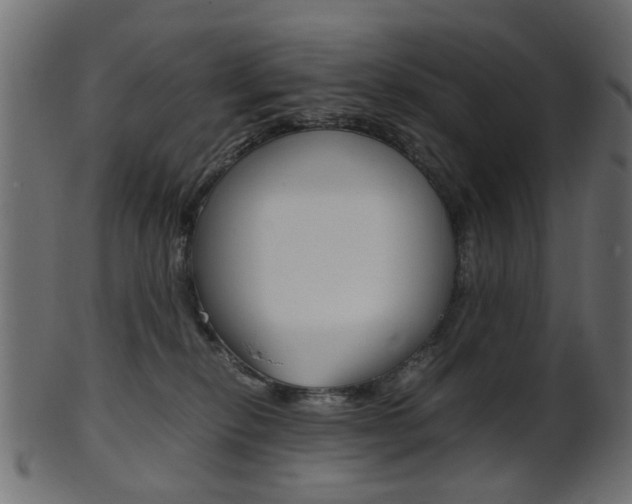 X0000102030278200807181013