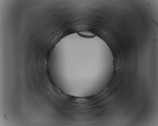 X0000102030279200807181013