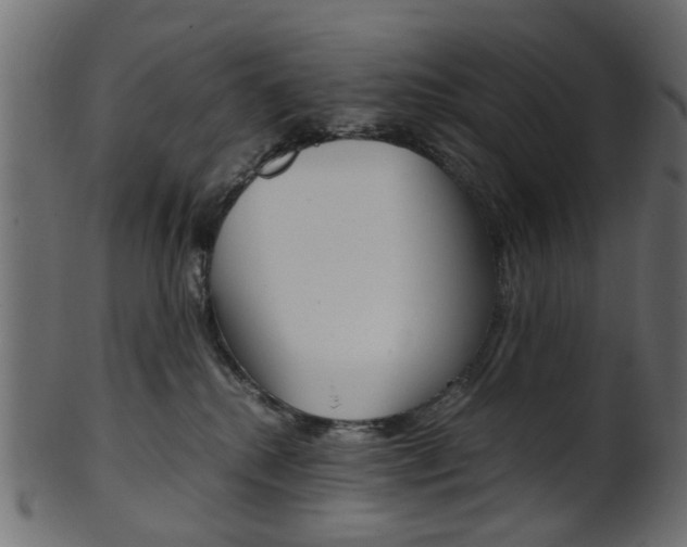 X0000102030280200807181013