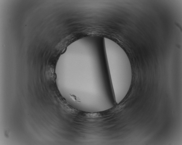 X0000102030281200807181013