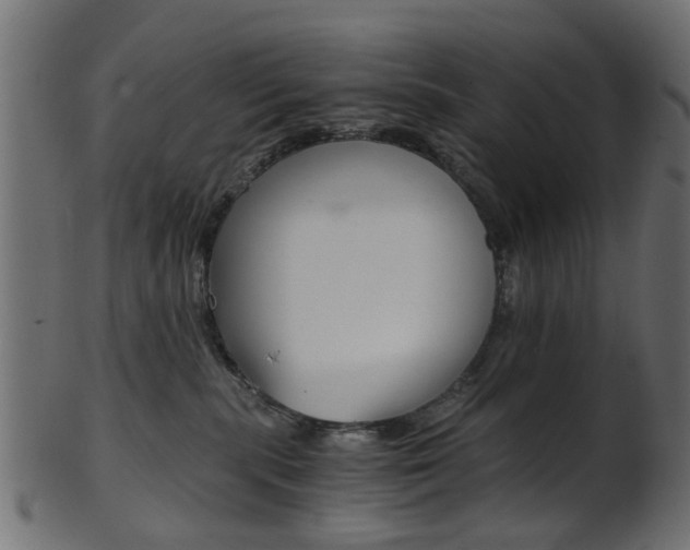 X0000102030283200807181013