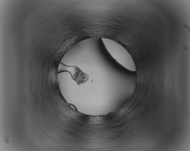 X0000102030287200807181013