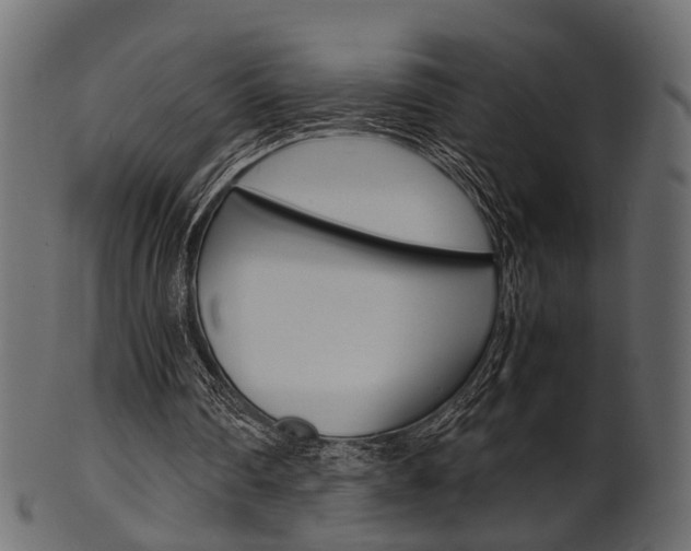 X0000102030290200807181013