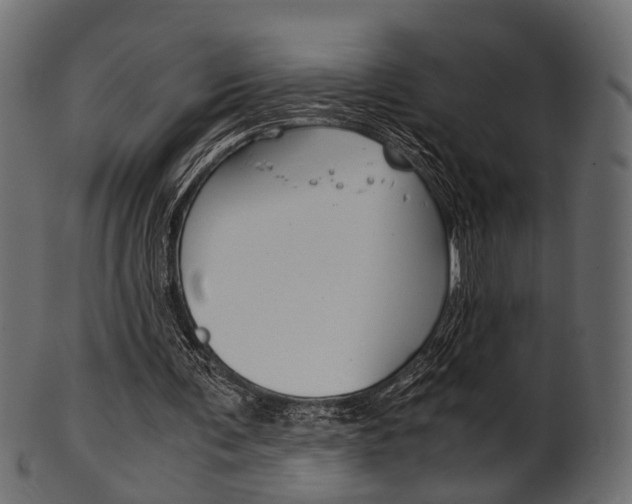 X0000102030291200807181013