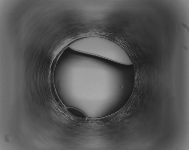 X0000102030292200807181013