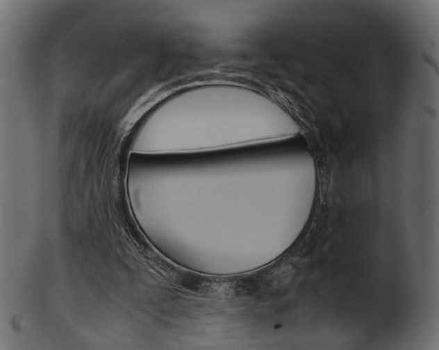 X0000102030295200807181013