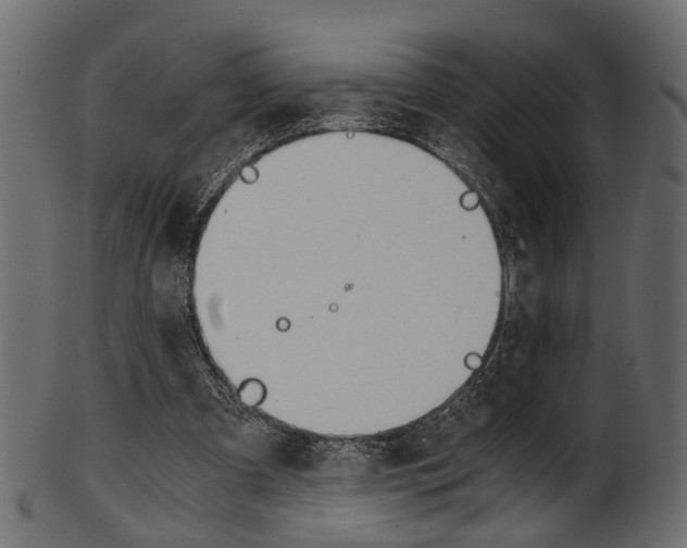 X0000102030297200807181013