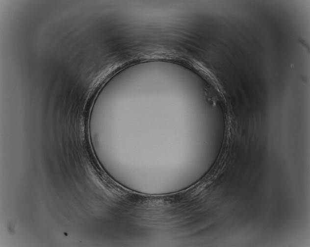 X0000102030298200807181013