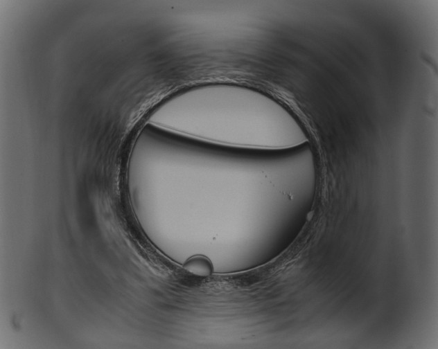 X0000102030299200807181013