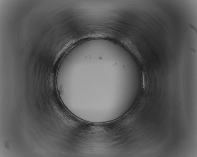 X0000102030300200807181013