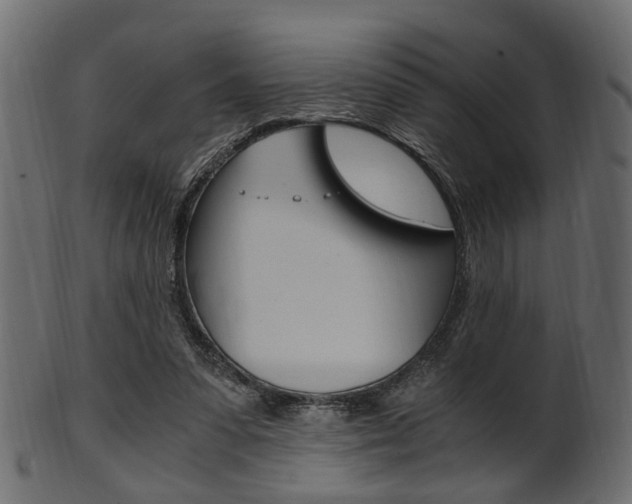 X0000102030303200807181012