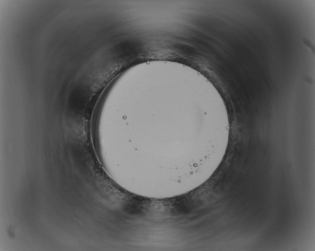 X0000102030305200807181012